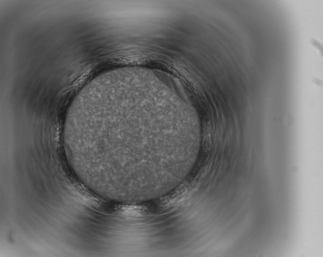 X0000096480268200802141729