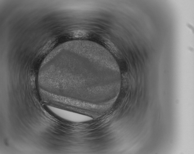 X0000096480269200802141729