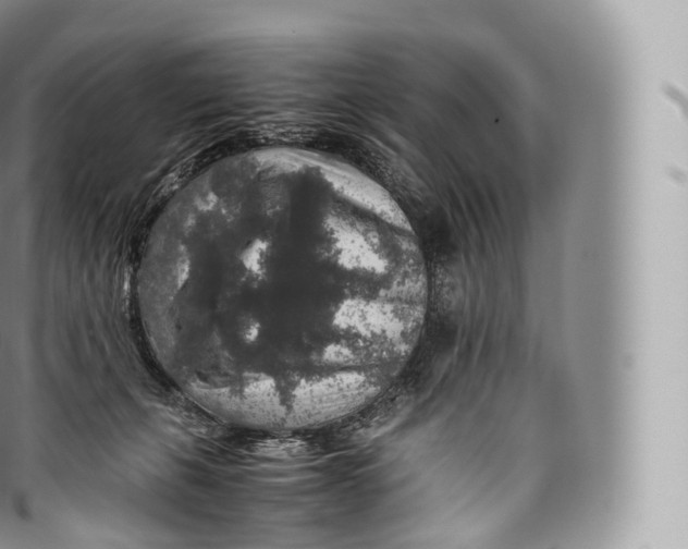 X0000096480271200802141729