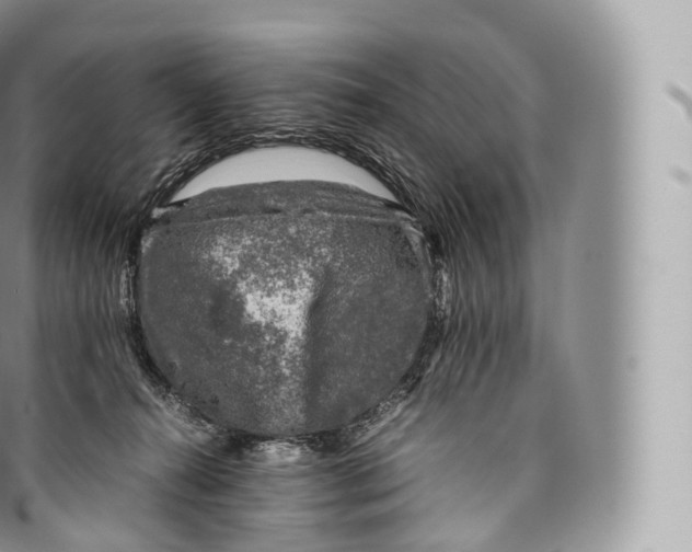 X0000096480272200802141729