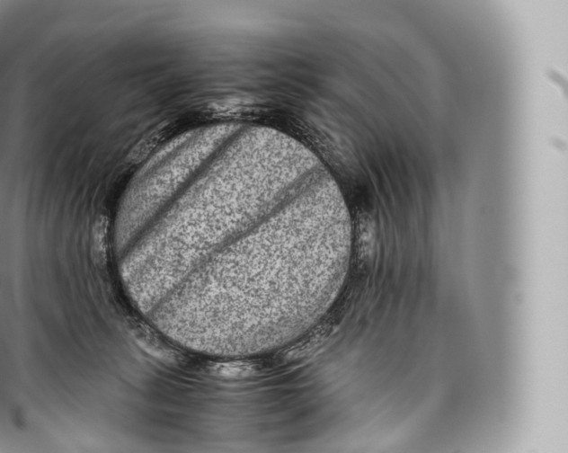 X0000096480275200802141729