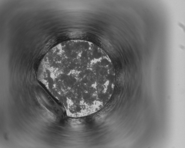 X0000096480277200802141729