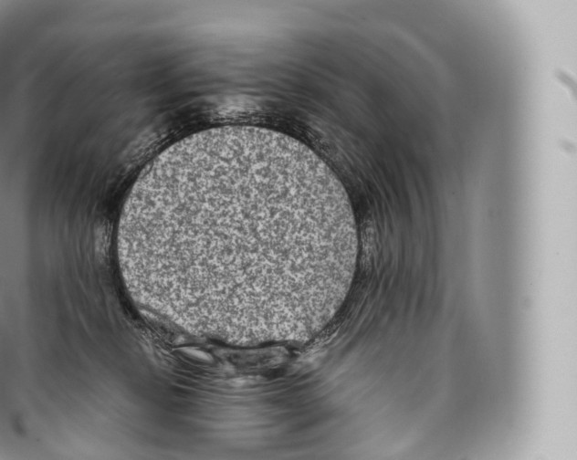 X0000096480278200802141729