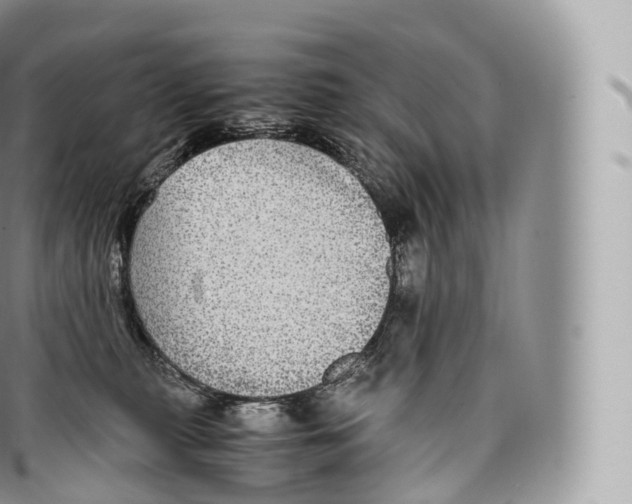 X0000096480279200802141729