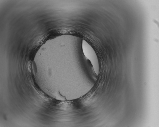 X0000096480280200802141729