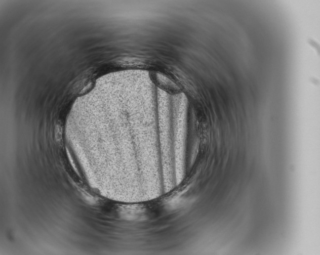 X0000096480281200802141729