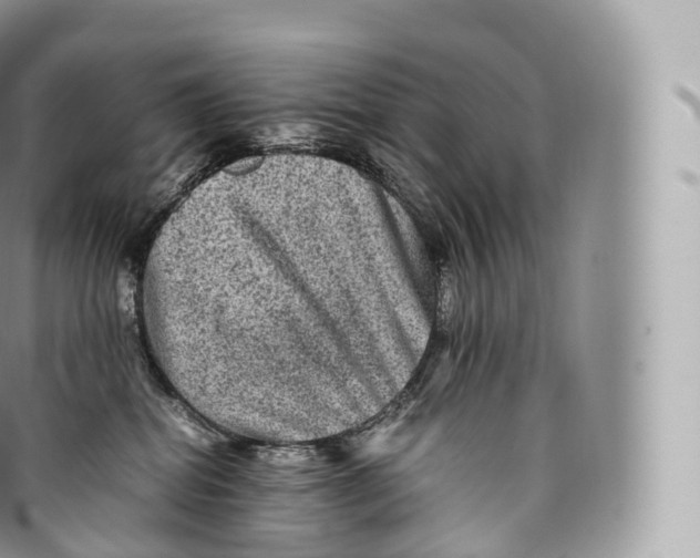 X0000096480282200802141729