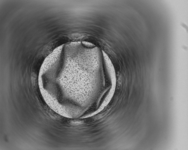 X0000096480283200802141729