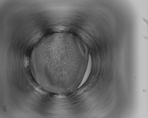 X0000096480284200802141729