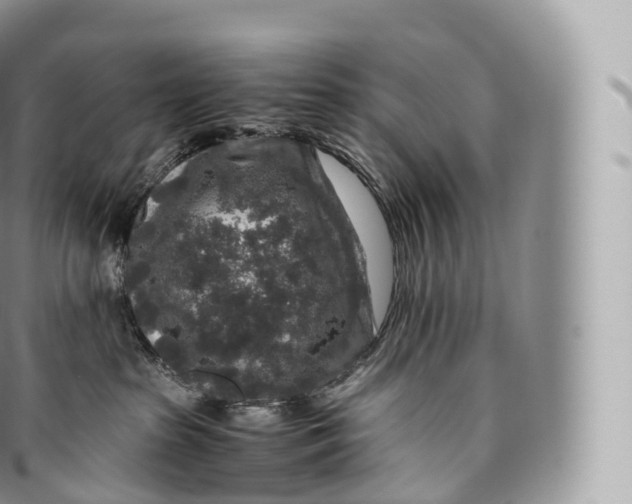 X0000096480285200802141729