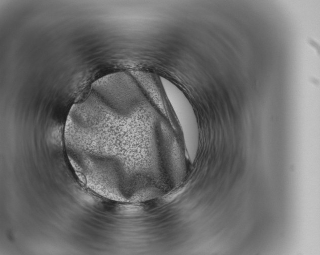 X0000096480286200802141729