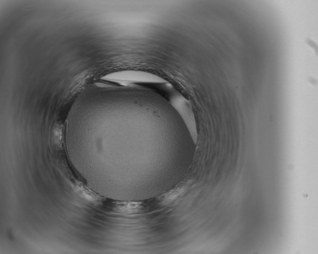 X0000096480288200802141729