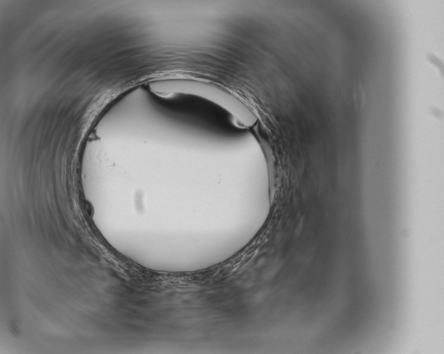 X0000096480289200802141728