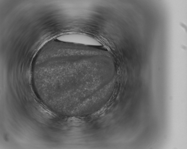 X0000096480290200802141728