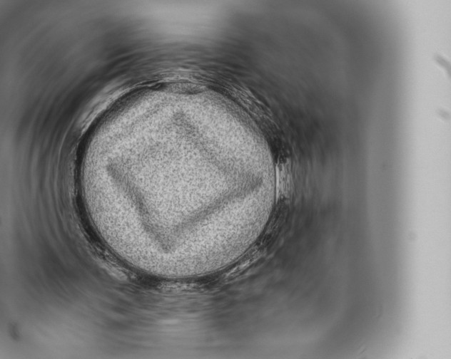 X0000096480291200802141728