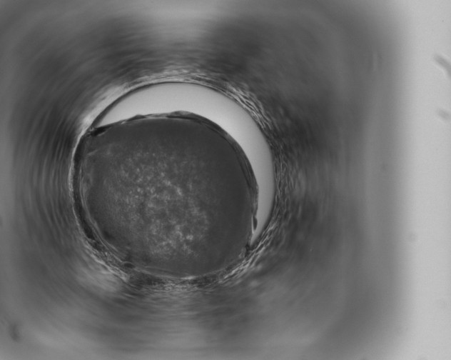 X0000096480292200802141728