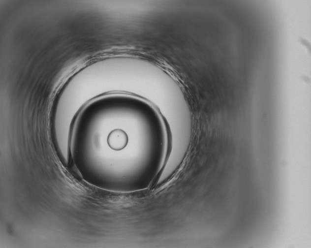 X0000096480293200802141728