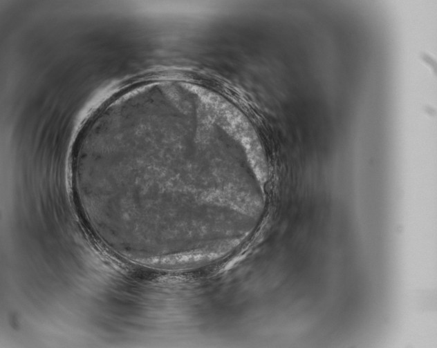 X0000096480294200802141728