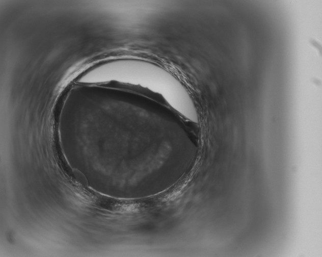 X0000096480295200802141728