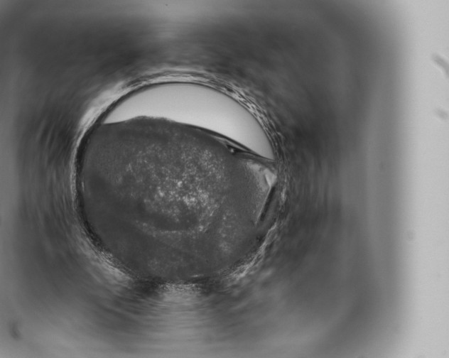 X0000096480296200802141728