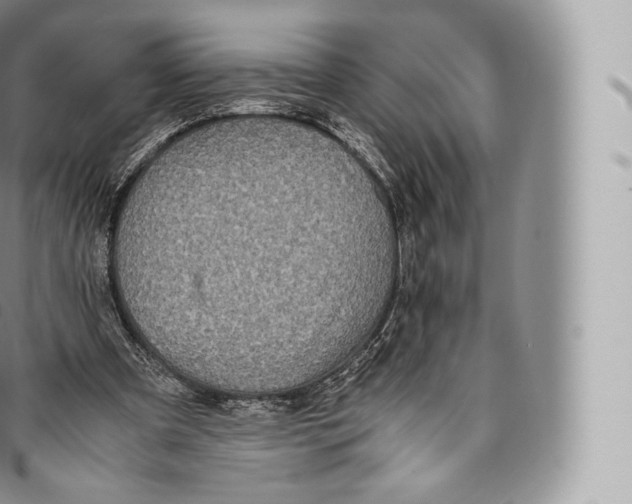 X0000096480297200802141728