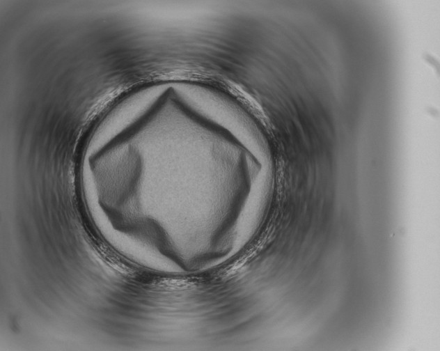 X0000096480298200802141728