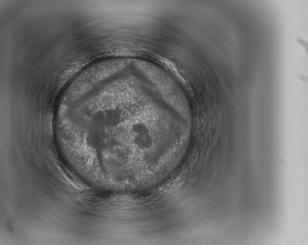 X0000096480299200802141728