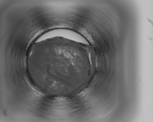 X0000096480300200802141728