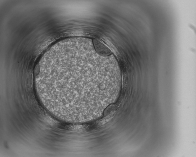 X0000096480301200802141728