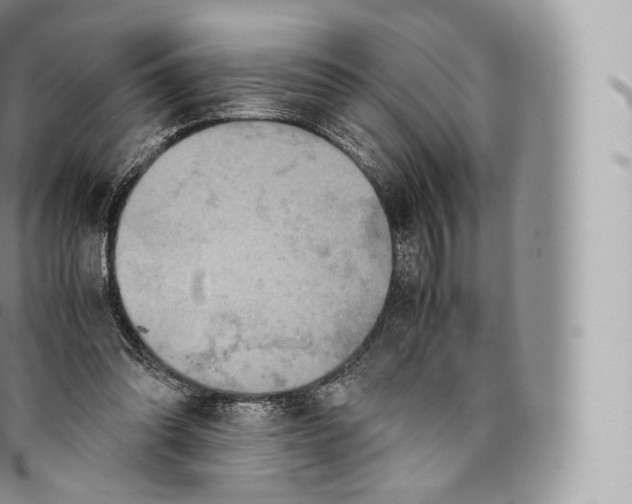 X0000096480302200802141728