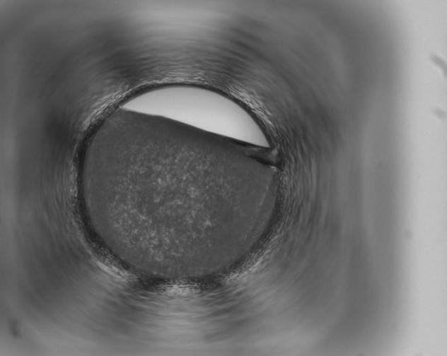 X0000096480303200802141728