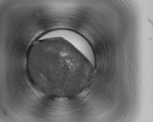 X0000096480304200802141728