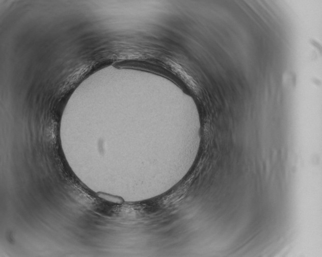 X0000096480305200802141728