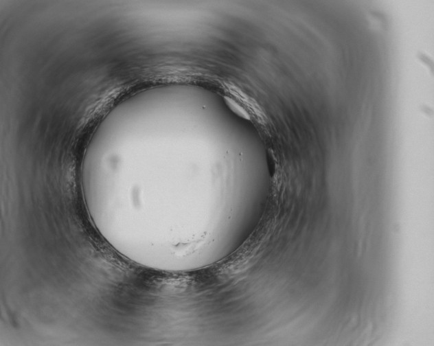 X0000096480306200802141728