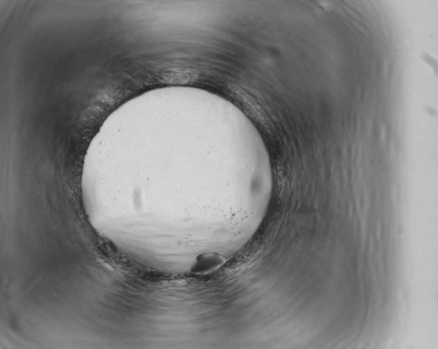 X0000096480307200802141728