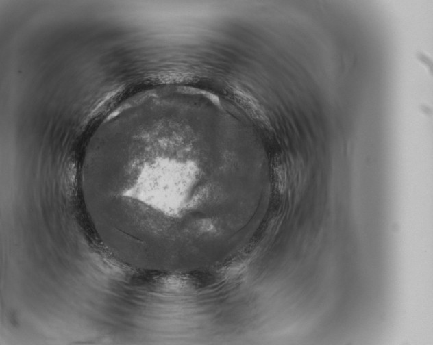 X0000096480308200802141728