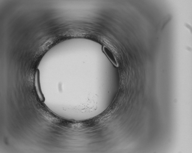 X0000096480309200802141728