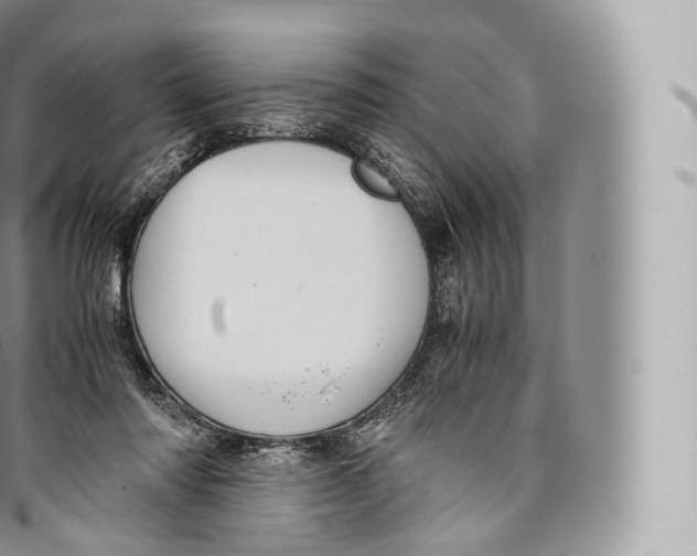 X0000096480310200802141728