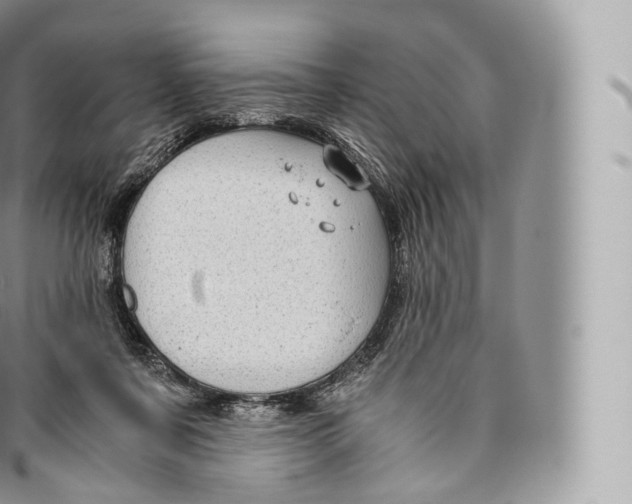 X0000096480311200802141728