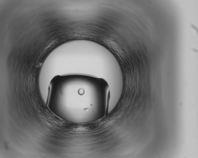 X0000096480312200802141728