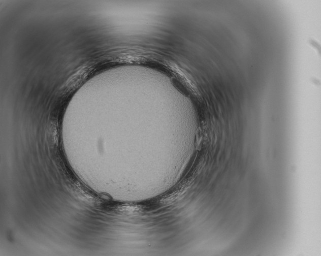 X0000096480313200802141728