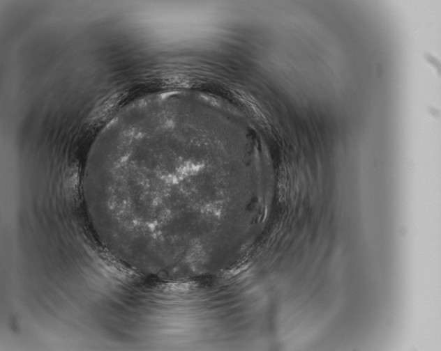 X0000096480314200802141728