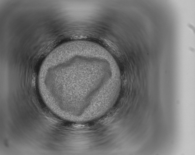 X0000096480315200802141728