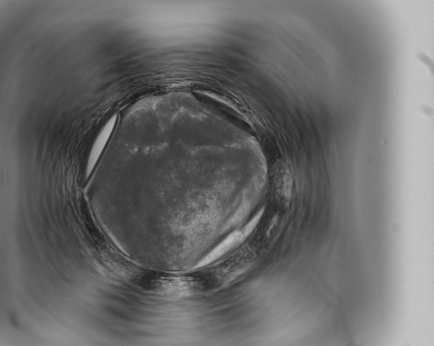 X0000096480316200802141728