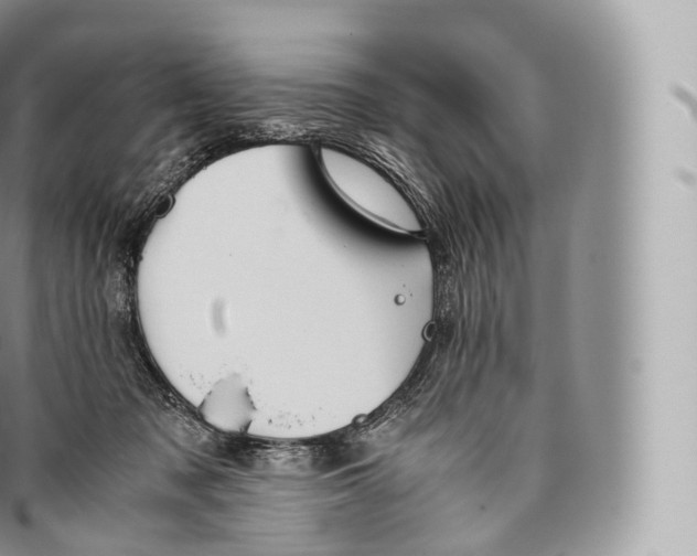 X0000096480317200802141728