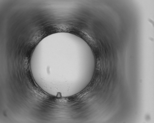 X0000096480318200802141728