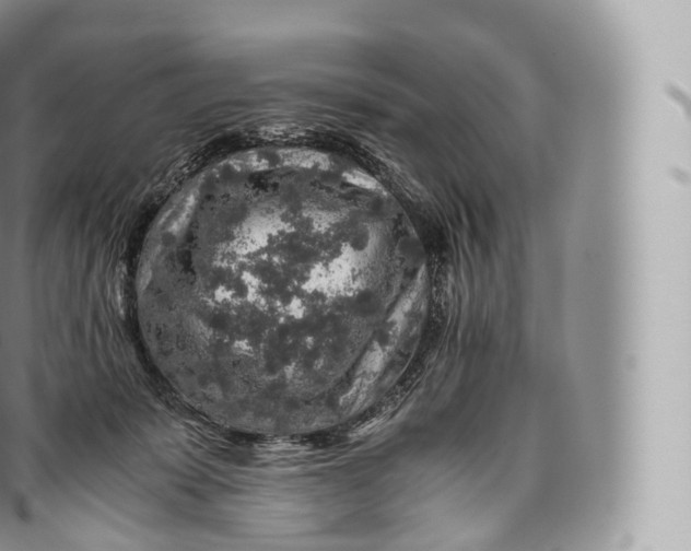 X0000096480319200802141728