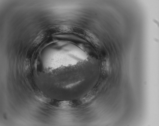 X0000096480320200802141728