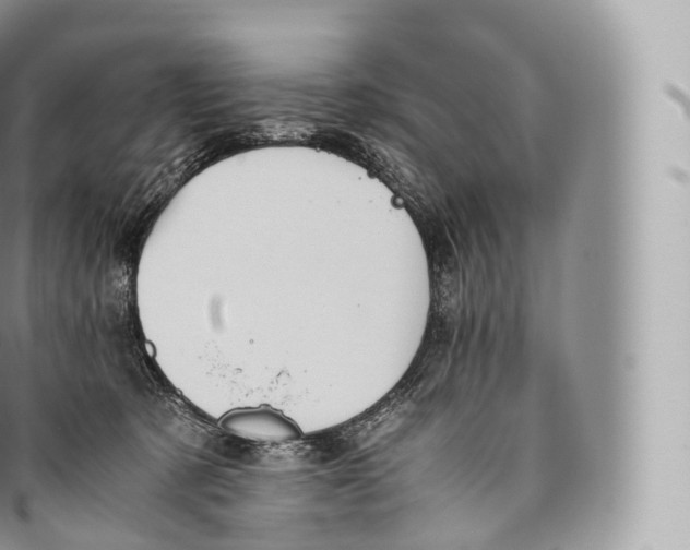 X0000096480321200802141728