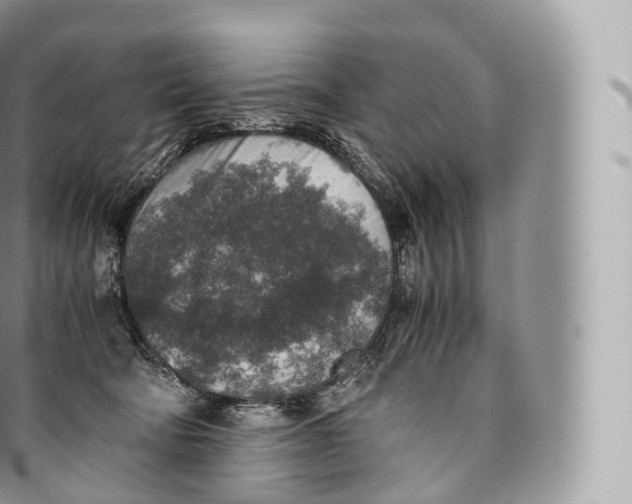 X0000096480322200802141728